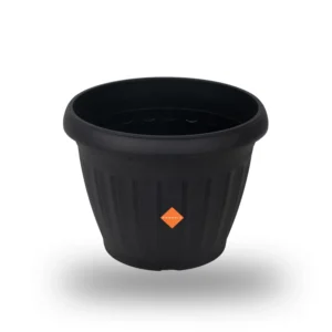 Phoenix Flower Pot Rose