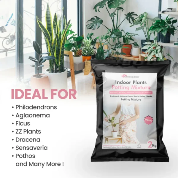 Indoor Plants Potting Mixture - Image 2
