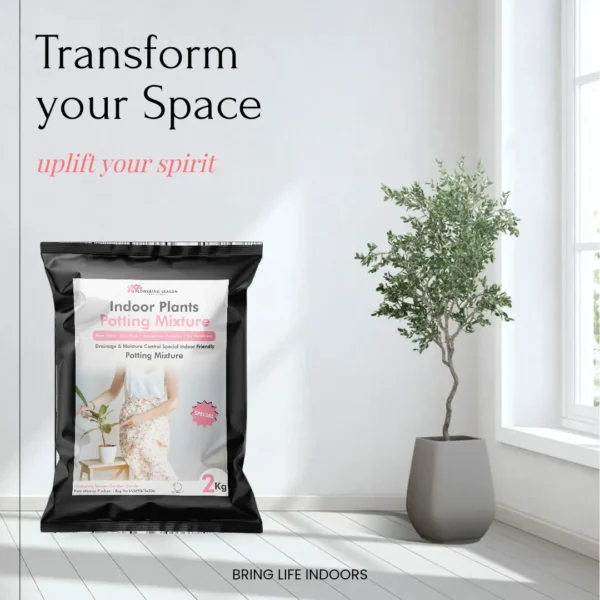 Indoor Plants Potting Mixture - Image 3